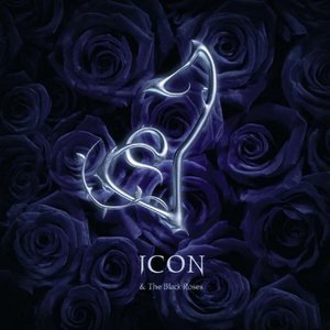 Icon 2