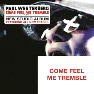 Paul Westerberg 6