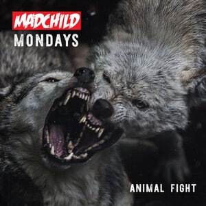 Madchild 17