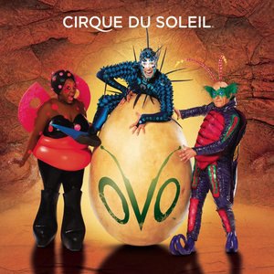 Cirque Du Soleil 19