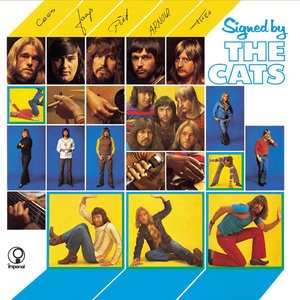 Let's Follow The Sun