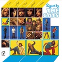 I've Been In Love Before