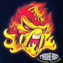 Frightened By the Darkness