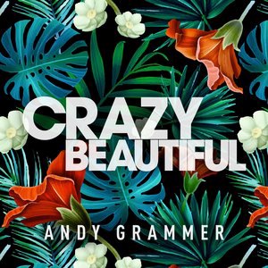 Andy Grammer 8