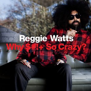 Reggie Watts 2