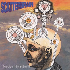Scatterbrain 2