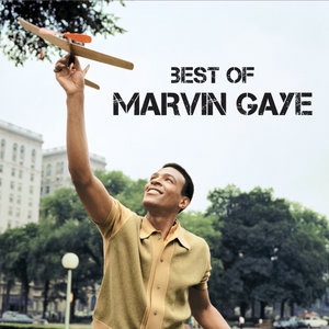 Marvin Gaye 14