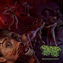 One Semester Of Spanish Death Song