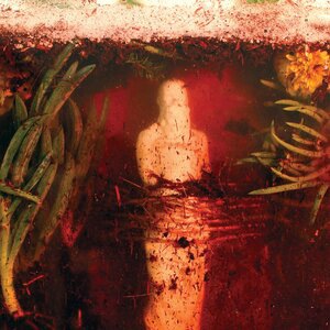 Flight but Not Metaphor