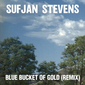 Sufjan Stevens 12