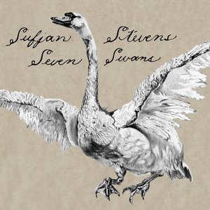 Sufjan Stevens 2