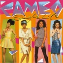 Little Boys - Dangerous Toys