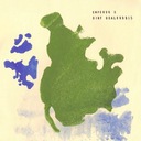 Hardwood Floor Servant