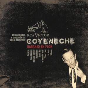 Roberto Goyeneche 14