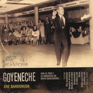 Roberto Goyeneche 13