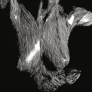 Oscar Acceptance Speech