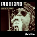 Você Não Sabe o Que Perdeu