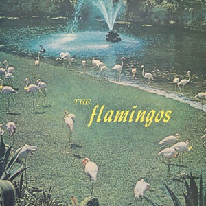 The Flamingos 22