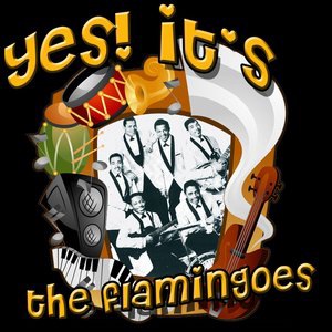 The Flamingos 17