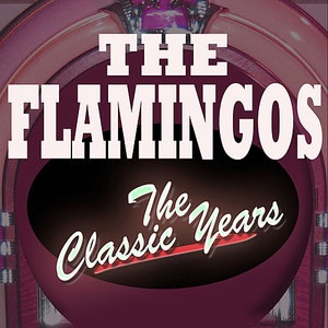 The Flamingos 6