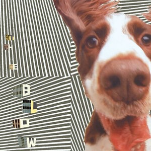 How Naked Are We Going To Get?