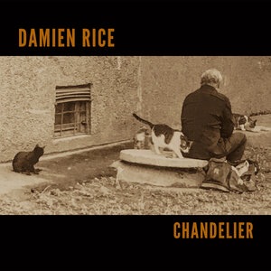 Damien Rice 8