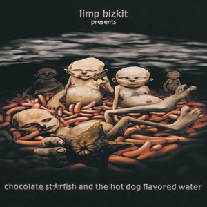 Limp Bizkit 5