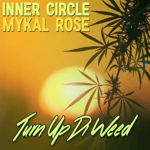 Inner Circle 11