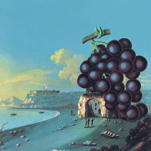 Moby Grape 4