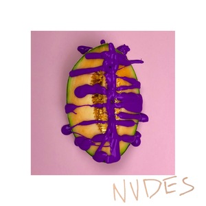 NVDES 8