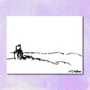 I Will Follow You Into The Dark