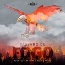 Pássaro de Fogo