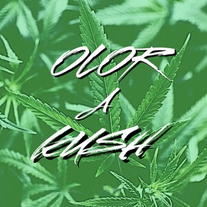 Buknas de Culiacan 6