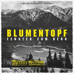 Blumentopf 8