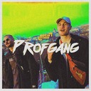 Profgang