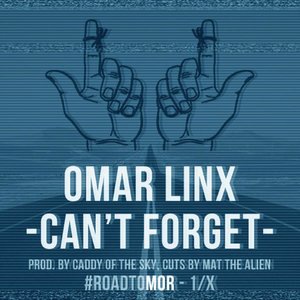 Omar LinX 6