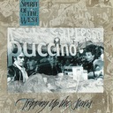 The Mists Of Crofton