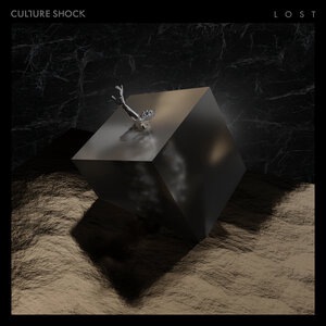 Culture Shock 9