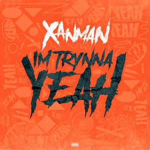 Xanman 39