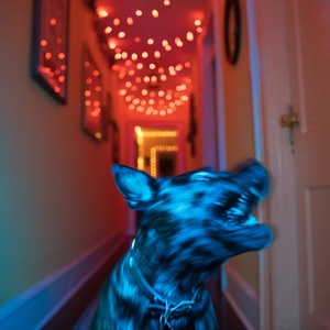 The World Is A Beautiful Place 10