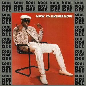 Kool Moe Dee 8