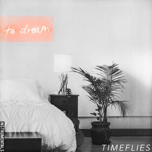 Timeflies 24