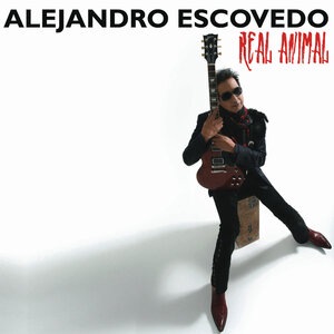 Alejandro Escovedo 14