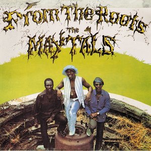 The Maytals 19