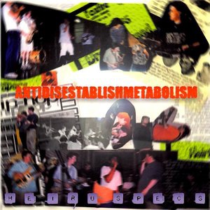 Have You Ever Wondered