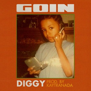 Diggy 6