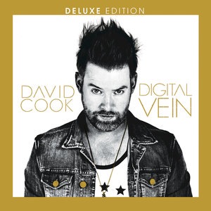 David Cook 5