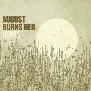 August Burns Red 5