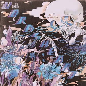 The Shins 12