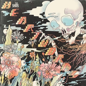 The Shins 11